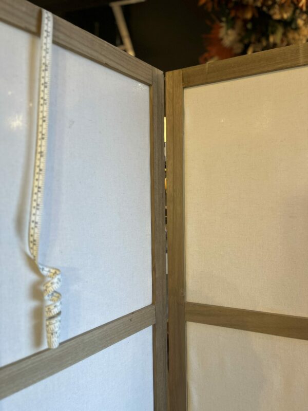 Morphologie silhouette